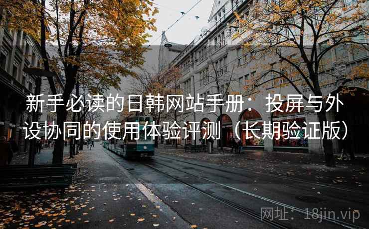 新手必读的日韩网站手册：投屏与外设协同的使用体验评测（长期验证版）
