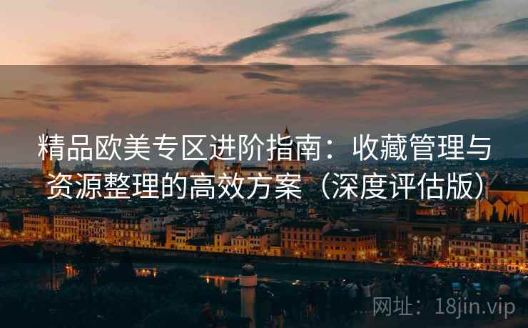 精品欧美专区进阶指南：收藏管理与资源整理的高效方案（深度评估版）