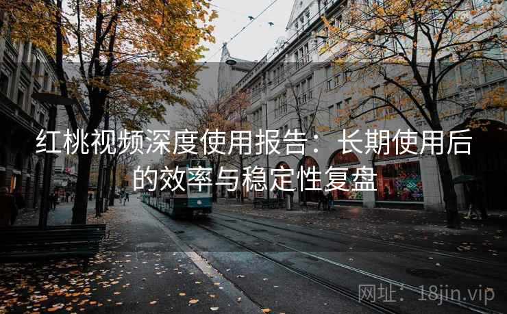红桃视频深度使用报告：长期使用后的效率与稳定性复盘
