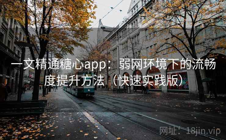一文精通糖心app：弱网环境下的流畅度提升方法（快速实践版）