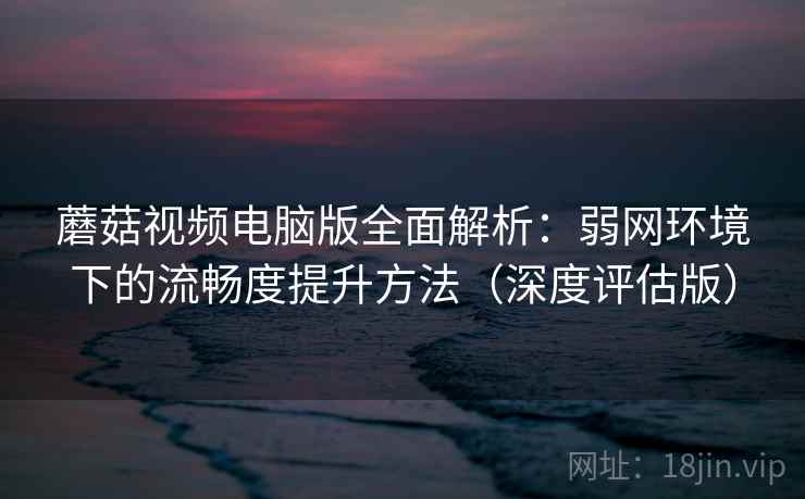蘑菇视频电脑版全面解析：弱网环境下的流畅度提升方法（深度评估版）