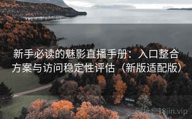 新手必读的魅影直播手册：入口整合方案与访问稳定性评估（新版适配版）