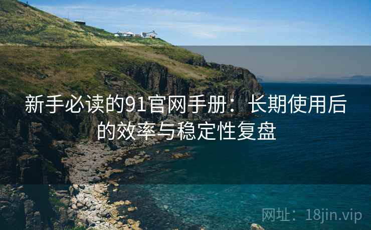 新手必读的91官网手册：长期使用后的效率与稳定性复盘