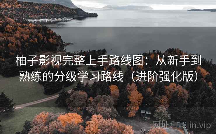 柚子影视完整上手路线图：从新手到熟练的分级学习路线（进阶强化版）