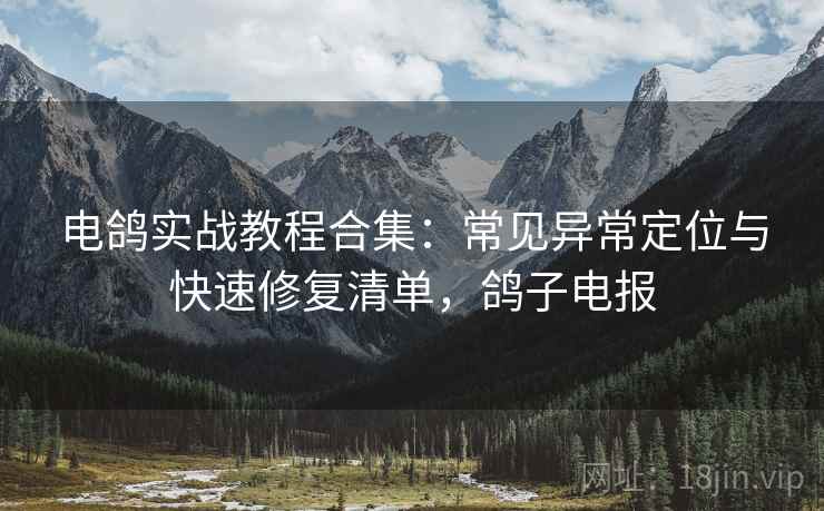 电鸽实战教程合集：常见异常定位与快速修复清单，鸽子电报