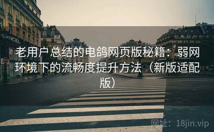 老用户总结的电鸽网页版秘籍：弱网环境下的流畅度提升方法（新版适配版）