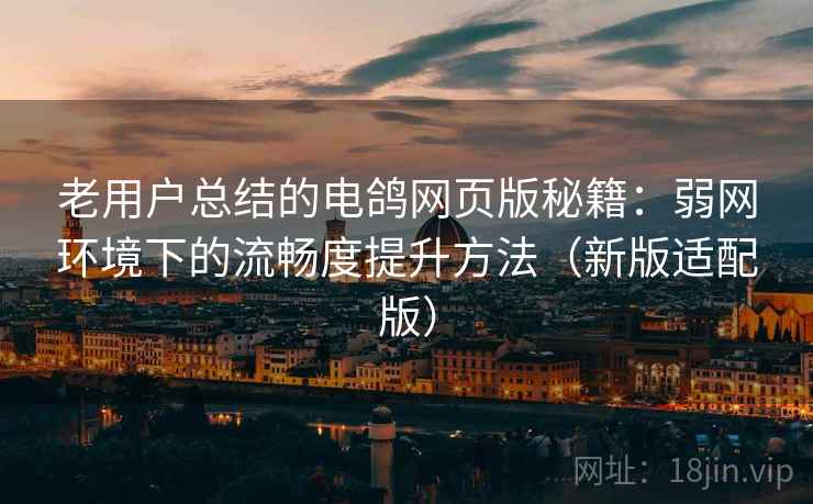 老用户总结的电鸽网页版秘籍：弱网环境下的流畅度提升方法（新版适配版）