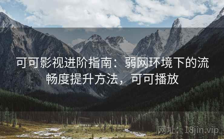 可可影视进阶指南：弱网环境下的流畅度提升方法，可可播放
