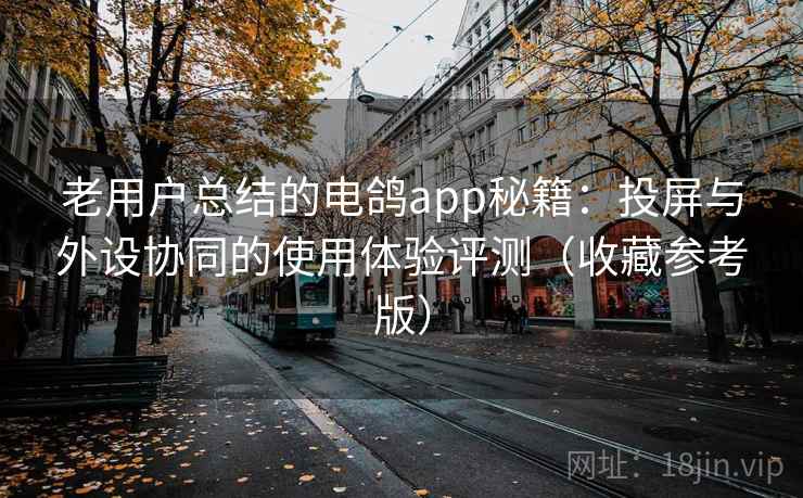 老用户总结的电鸽app秘籍：投屏与外设协同的使用体验评测（收藏参考版）