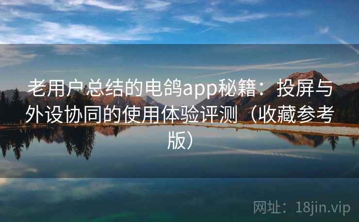 老用户总结的电鸽app秘籍：投屏与外设协同的使用体验评测（收藏参考版）