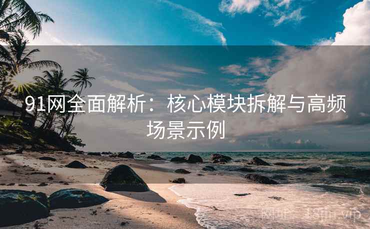 91网全面解析：核心模块拆解与高频场景示例