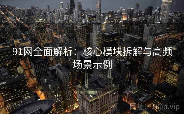 91网全面解析：核心模块拆解与高频场景示例