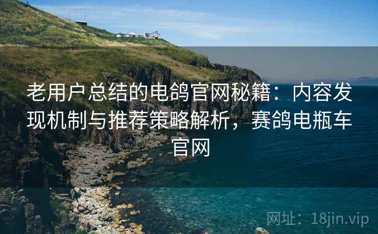老用户总结的电鸽官网秘籍：内容发现机制与推荐策略解析，赛鸽电瓶车官网