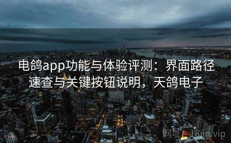电鸽app功能与体验评测：界面路径速查与关键按钮说明，天鸽电子