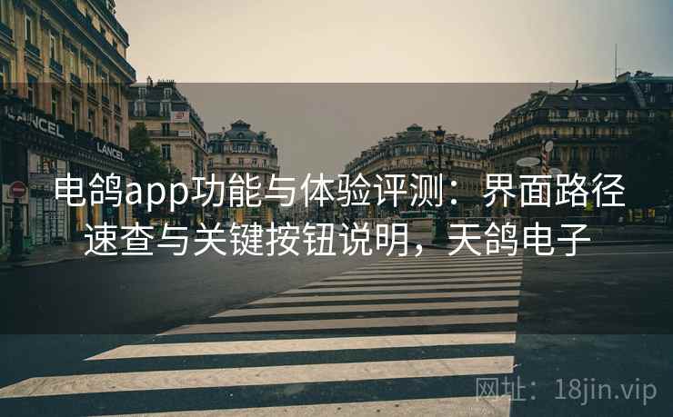 电鸽app功能与体验评测：界面路径速查与关键按钮说明，天鸽电子