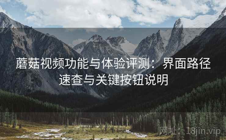 蘑菇视频功能与体验评测：界面路径速查与关键按钮说明