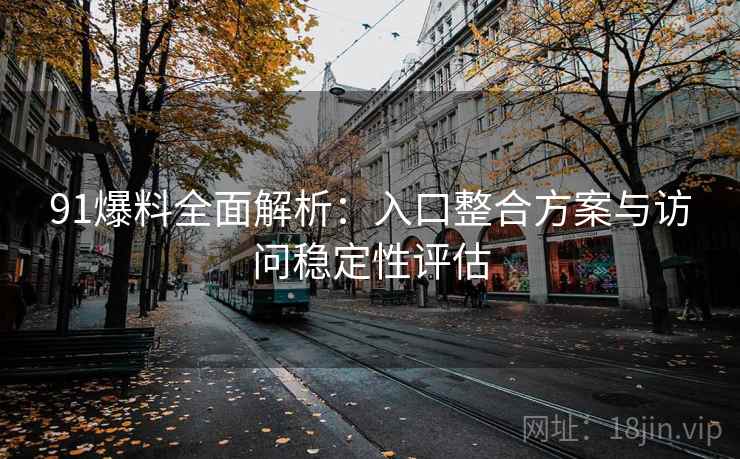 91爆料全面解析：入口整合方案与访问稳定性评估