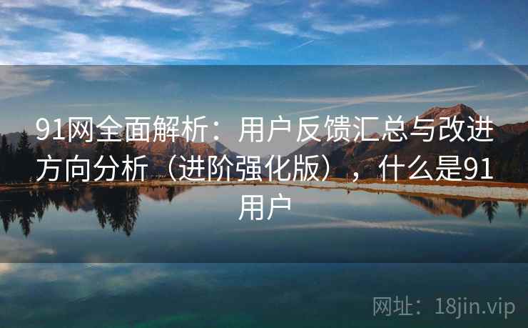 91网全面解析:用户反馈汇总与改进方向分析(进阶强化版),什么是91用户 91网全面解析:用户反馈汇总与改进方向分析(进阶强化版),什么是91用户