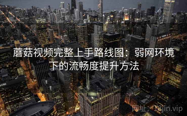 蘑菇视频完整上手路线图：弱网环境下的流畅度提升方法