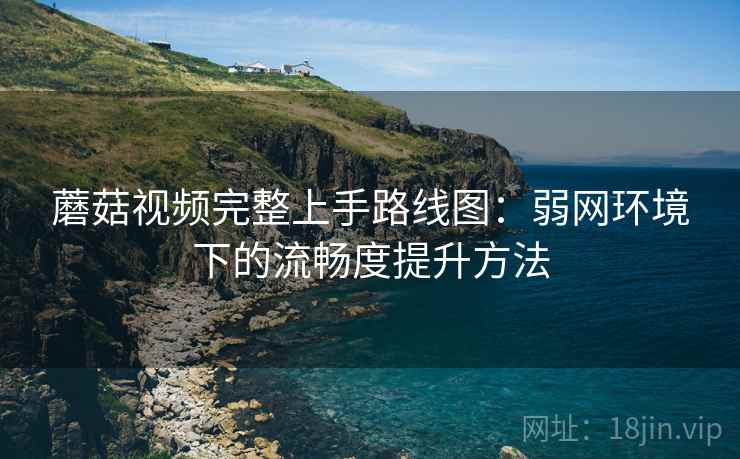 蘑菇视频完整上手路线图：弱网环境下的流畅度提升方法